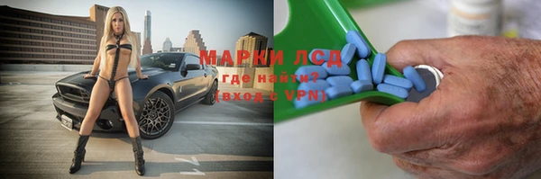 шишки Михайлов