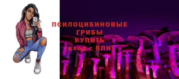 винт Наволоки