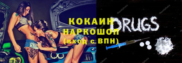 шишки Михайлов