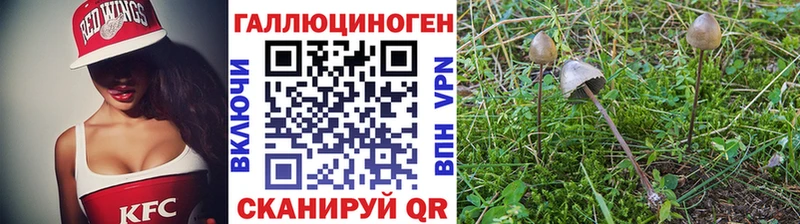shop наркотические препараты  где найти наркотики  Нерехта  Псилоцибиновые грибы Psilocybine cubensis 